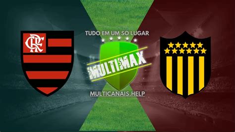 futemax flamengo ao vivo hoje